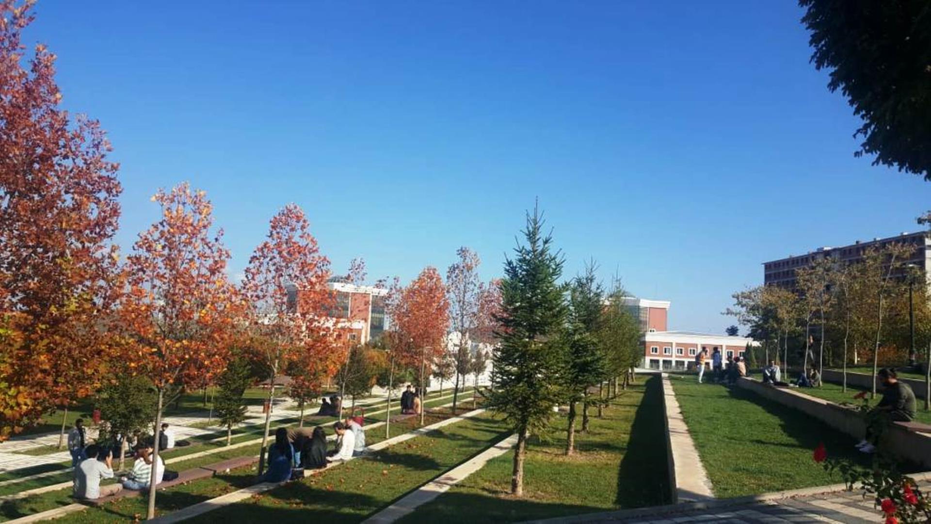 surgu fotoğraf 1485